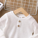 Toddler Boy Casual Solid Ribbed Long-sleeve for Henley Shirt