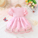 Newborn Birthday Cute Butterfly Floral Tulle Embroidery Mesh Short Sleeve Princess Formal Dresses Ootd For Baby Girl