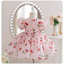 Summer Girls Dress Kids Dresses for Girls Clothes Children Clothes Toddler Teens Princess Dress Pink Strawberry