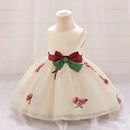 Baby Dresses For Kid Girls Princess Flower Embroidery Wedding Party Clothes Toddler Tulle Birthday Baptism Costumes