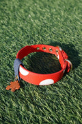 Leather Pet Collars Correa Perro Small Dog Collar Dachshund Puppy Accessories Polka Dots Cat Collar