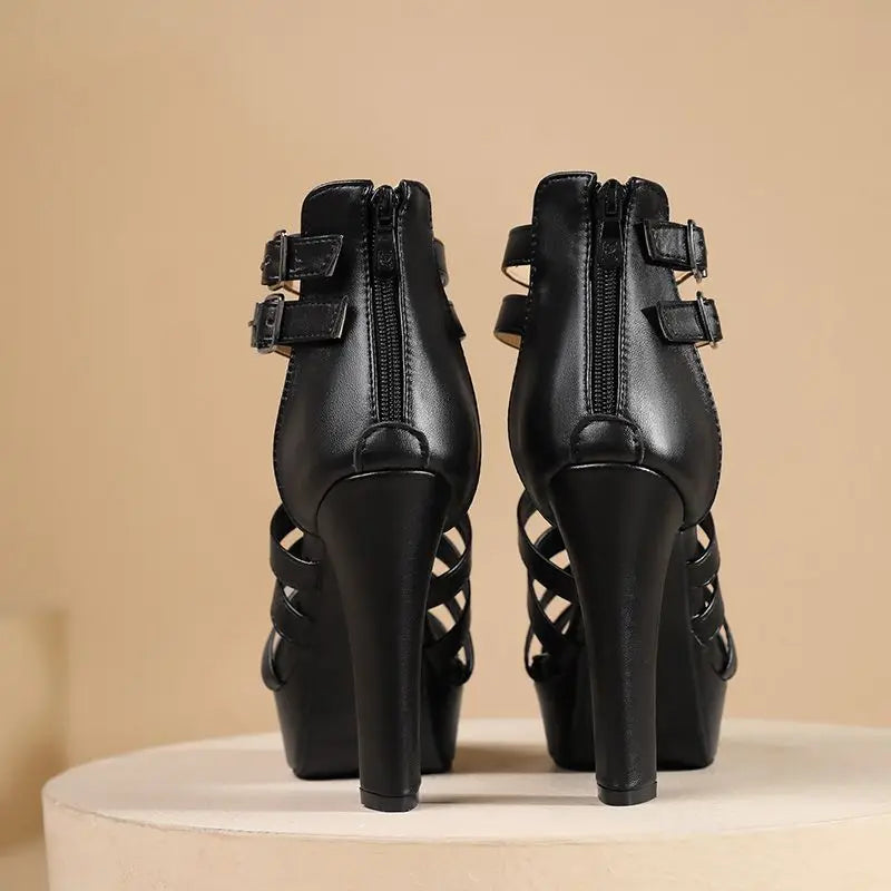 Women Sandals Peep Toe Chunky Heels 11.5cm Platform 3.5cm Zipper Buckle T-Strap Dating Shoes