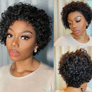 Human Hair Pixie Cut 13X4 Lace Front Wig 6 Inch Short Curly Human Hair Lace Front Wigs Plucked For Women