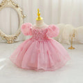 Summer Infant Baby Girl Dresses Flower Appliques Toddler Kids Birthday Party Princess Wedding Ball Gown