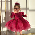 Luxury flower girl dress long sleeved sequined girls party dress wedding fluffy chiffon children's Christmas ceremony dress
