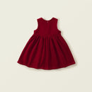 Autumn in Kids Baby Girls Velvet Simple Clothing children Dresses 2-3Y