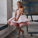 Flower Girl Dress Puffy Girl Dress Pink Cute Baby Girl Dress Girl Birthday Party Gowns First Communion Dress