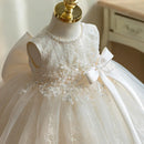 Infant Ball Gown Flower Wedding Lace Sleeveless Cute Princess Dress Toddler Baby Baptism Dresses