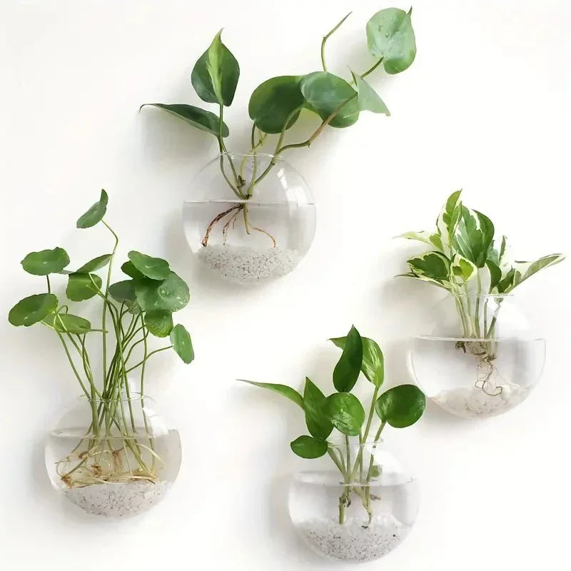 Hydroponic Glass Vase Wall Hanging Fish Tank Aquarium Container Flower Planter Potted
