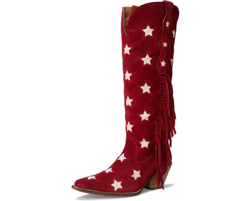 Tassel Western Boots Pointed Toe Chunky Heel Women's Long Boots