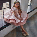 Flower Girl Dress Puffy Girl Dress Pink Cute Baby Girl Dress Girl Birthday Party Gowns First Communion Dress