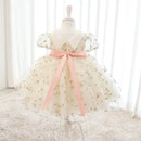 Infant birthday Baby Dress Flower Embroidery Princess Party Wedding Dress For Baby