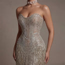 Champagne Party Dress Sweetheart Sleeveless Trumpet Night Dress Sequin and Tassel Celebrity Dress Customized