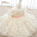 Infant birthday Baby Dress Flower Embroidery Princess Party Wedding Dress For Baby
