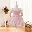Baby Girl Floral Embroidered Tulle Dress, Puff Sleeve Square Neck Princess Dress, Summer Party Outfit