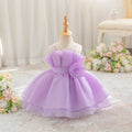 Toddler Wedding Party Baby Girls Dresses Toddler Princess Dress Girl Elegant Tulle Bridesmaids