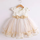Summer Lace Princess Dresses For Kids Birthday Dress Flowers Girls Dress Children's Birthday Party Costume Infant Dress