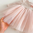 Close-up of a pink tulle dress with a sparkly bodice held by a hand against a light background, Obroi