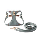 Lightweight Denim Series Small Dog Harness and Leash Set Dogs Accesorios Terrier Puppy Harness Cat Leads