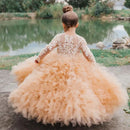 Layered Flower Girl Dress For Wedding Applique Puffy Tulle Full Sleeves Lace Birthday