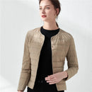 42967293821084|42967293853852|42967293886620|42967293919388|42967293952156|42967293984924