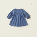 Autumn Spring Kids Baby Girls Embroidery Flower Denim Clothing toddler Children Full Sleeve Knee-length Dresses