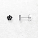 Pentagonal Flower Stud Earrings Europe Glam Fine Jewerly For Women In 925 Sterling Silver
