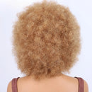 Kinky Curly Bob Human Hair Wigs For Women Remy Hair Full Machine Made Mom Wigs