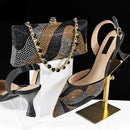 Design Shoes Matching Bag Set Elegant Mature Women Pointed Toe Pumps