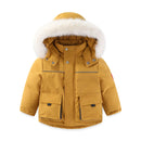 42949646254236|42949646287004|42949646319772|42949646352540