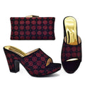 Elegant Trend Women Shoes Women Shoe and Bag Set for Party Luxury Designer Shoes