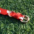 Leather Pet Collars Correa Perro Small Dog Collar Dachshund Puppy Accessories Polka Dots Cat Collar