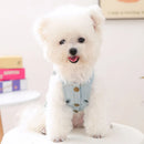 Small white dog wearing a denim harness sitting on a light-colored surface, Obroi