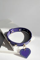 Pet Collars Leather Dog Collar and Tag Set Schnauzer Poodle Yorkshire Terrier Dogs Accessories Cute Cat Collar