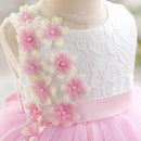 Baby Summer Infant Girls Boutique Pink Floral Bow Mesh Dress Princess Kids Sweet Party Dress 0-3 T