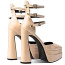 Summer Thick Heels High Heels Wrapped Sandals Women Pointed Belt Buckle Women Shoes