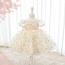 Infant birthday Baby Dress Flower Embroidery Princess Party Wedding Dress For Baby