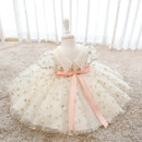 Infant birthday Baby Dress Flower Embroidery Princess Party Wedding Dress For Baby