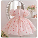 Summer Girls Dress Kids Dresses for Girls Clothes Children Clothes Toddler Teens Princess Dress Pink Strawberry