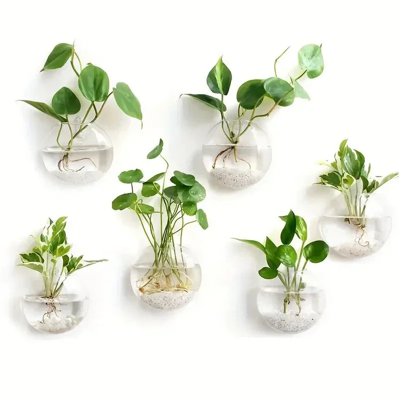 Hydroponic Glass Vase Wall Hanging Fish Tank Aquarium Container Flower Planter Potted