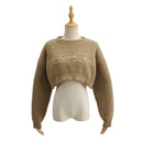 Winter Women's Embroidery Decoration Cropped Sweater Pullover American Retro Loose Knitwear Crop Top