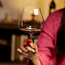Hand holding a glass of red wine with a blurred background, Obroi