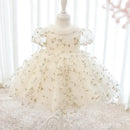 Infant birthday Baby Dress Flower Embroidery Princess Party Wedding Dress For Baby