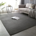 Modern Minimalist Coral Fleece Carpet Living Room Bedside Rug Home Decoration