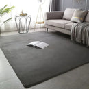 Modern Minimalist Coral Fleece Carpet Living Room Bedside Rug Home Decoration