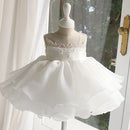 Flower Girls Birthday Dress Princess Dress Baby Girl Host Piano Performance Dress Evening Dress