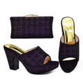 Elegant Trend Women Shoes Women Shoe and Bag Set for Party Luxury Designer Shoes