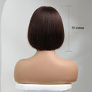 Back view of a 10-inch straight bob wig on a mannequin head, showing the dark brown hair against a light gray background with a '10 inches' height marker, Obroi