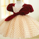 Baby Girl Princess Dress Bow Velvet Dress Puff Sleeve Infant Child Teen Pageant Baby Clothes1-12Y