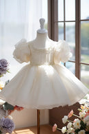 Children's Princess Dress Baby Girl's Birthday Dress Performance Dress Girls Dress